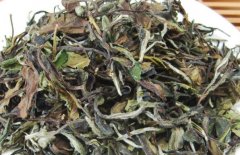 苦丁茶的功效与禁忌， 苦丁茶的好处和作用