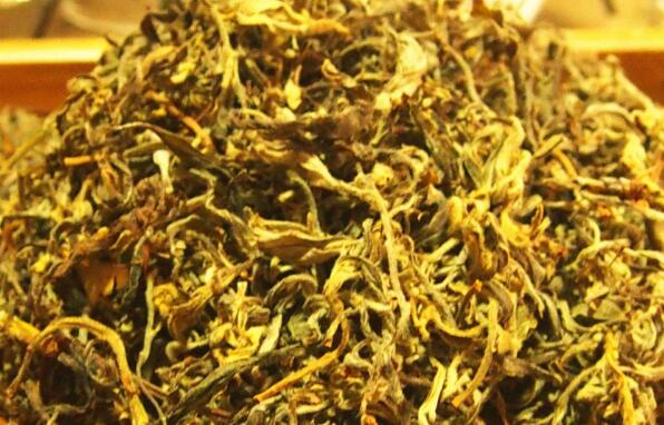 老鹰茶的功效与禁忌 哪些人不适合喝老鹰茶
