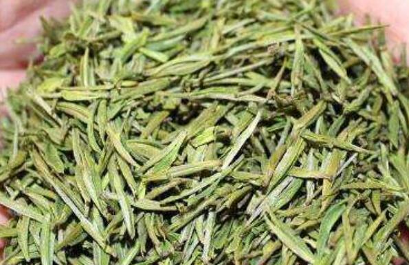 安吉白片是什么茶 安吉白片的功效与作用