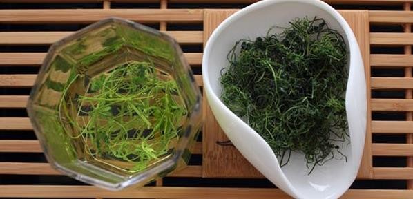 绞股蓝茶的功效与作用有哪些，禁忌又是什么