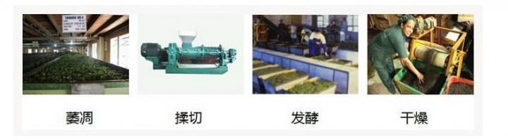 红茶的制作工艺流程有哪些 红茶是如何制作出来的