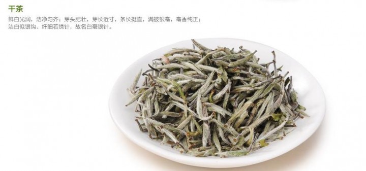白毫银针白茶的功效和作用有哪些，白茶的主要功效