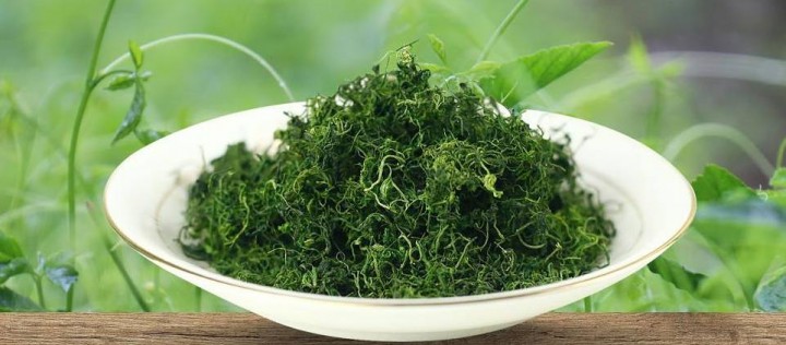 绞股蓝茶的功效与作用有哪些，禁忌又是什么