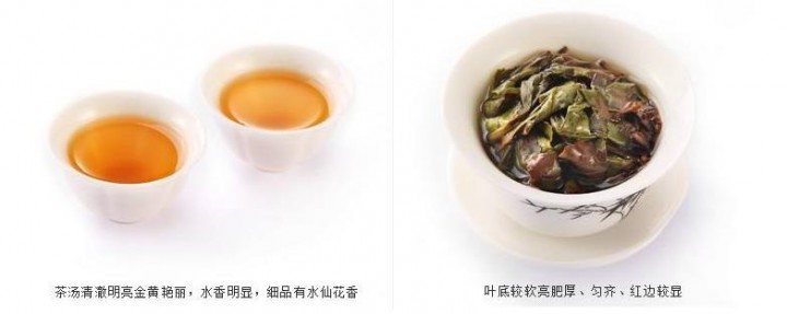 漳平水仙的特点和口感是怎样的？