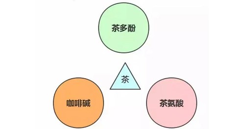 茶叶的成分和功效，茶叶里面含有什么成分