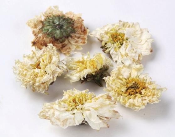黄山贡菊的功效与作用是什么，黄贡菊主要功效
