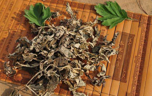 艾叶泡脚的功效与作用