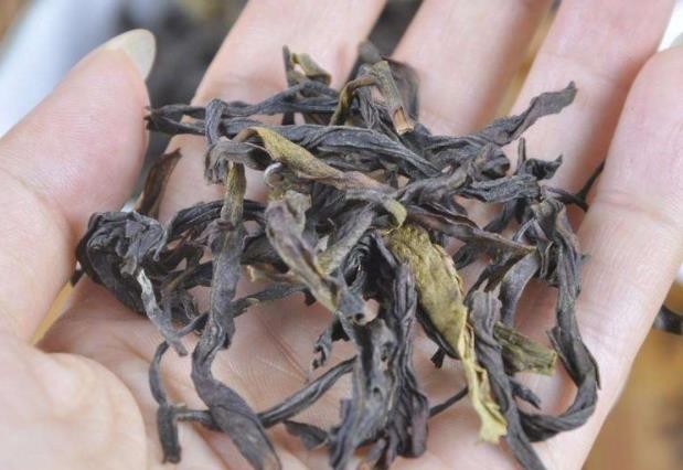 还在傻傻分不清，单丛还是单枞？
