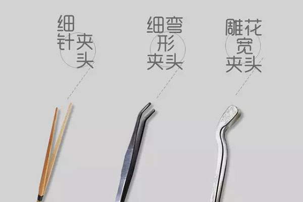 多图｜茶夹大全图鉴
