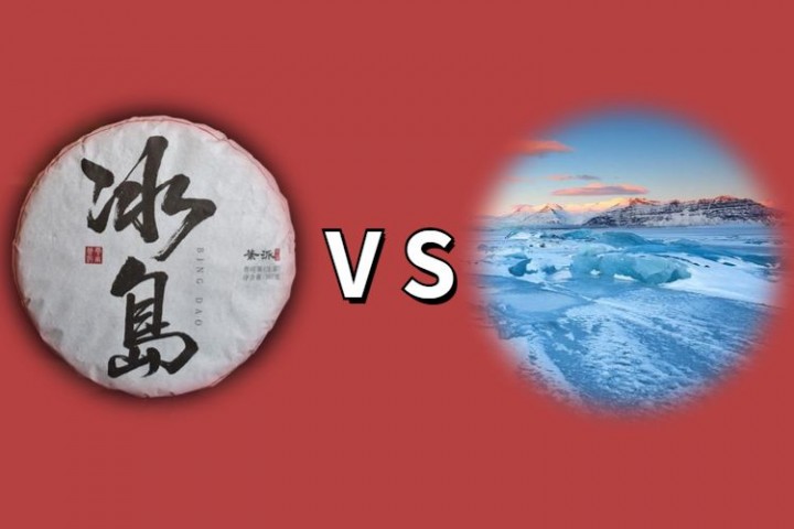 大白菜、薄荷塘、冰岛，这些奇葩的普洱茶有什么内涵