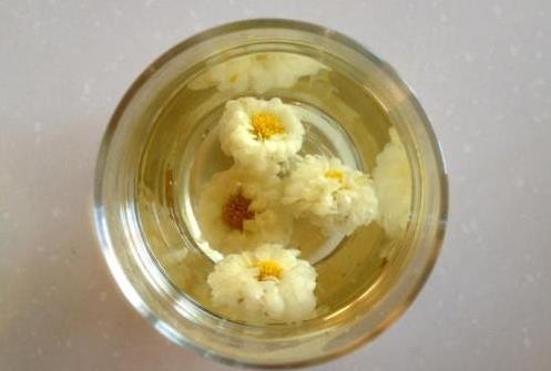 不同种类菊花茶的功效和作用，菊花分几种各有什么功效