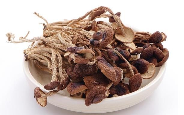 茶树菇的功效与作用，女人吃茶树菇的好处