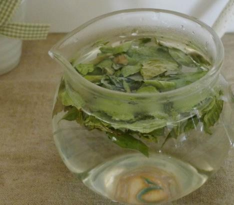 ​罗布麻茶叶的功效与作用