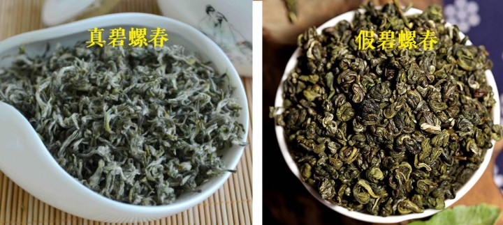 如何辨别碧螺春茶叶的真假，用这几个方法