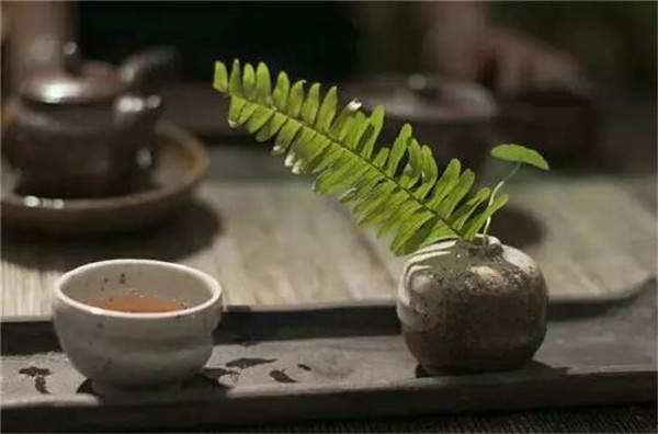 瓷匠茶心丨都说茶具以青瓷为独尊？白瓷第一个不服