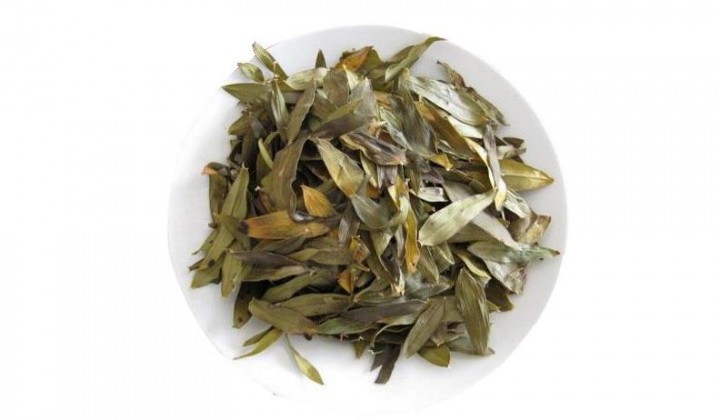 铁皮石斛叶泡茶的功效与作用，铁皮石斛泡水喝有什么好处