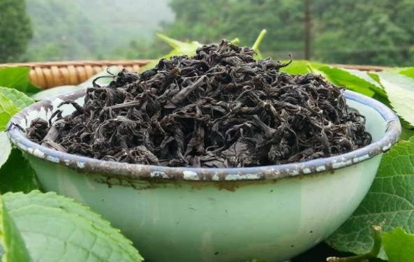 杜仲茶泡水喝的功效与作用