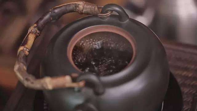 什么样的六堡茶可以煮着喝