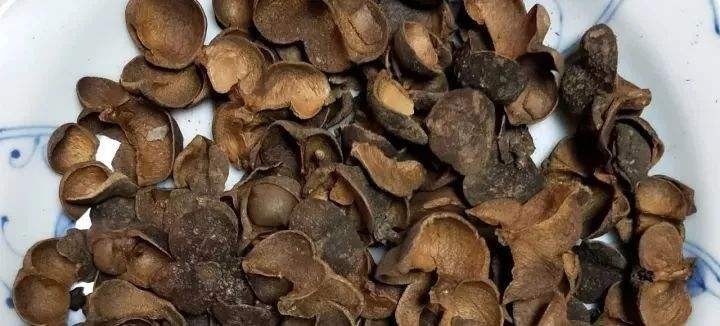 什么样的六堡茶可以煮着喝