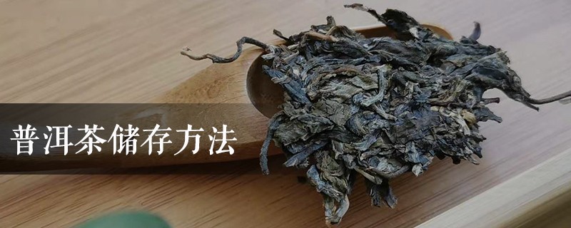 普洱茶可以用保鲜膜包吗，普洱茶存放需要密封袋吗