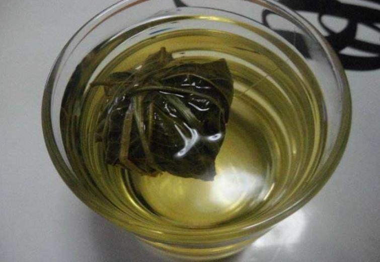 鹧鸪茶的功效与作用