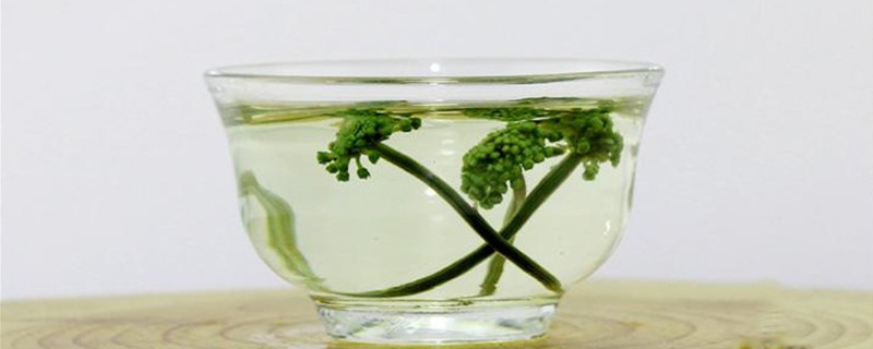 三七花茶功效与作用，三七花茶的作用和功效