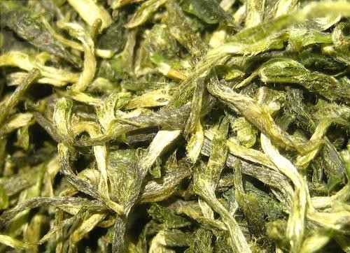 茶叶身上的小茸毛那么多，是不是不好