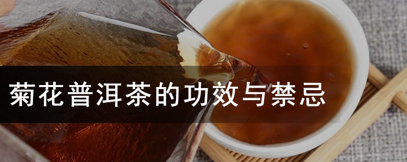 菊花普洱茶的功效与禁忌，普洱茶和菊花能一起喝吗