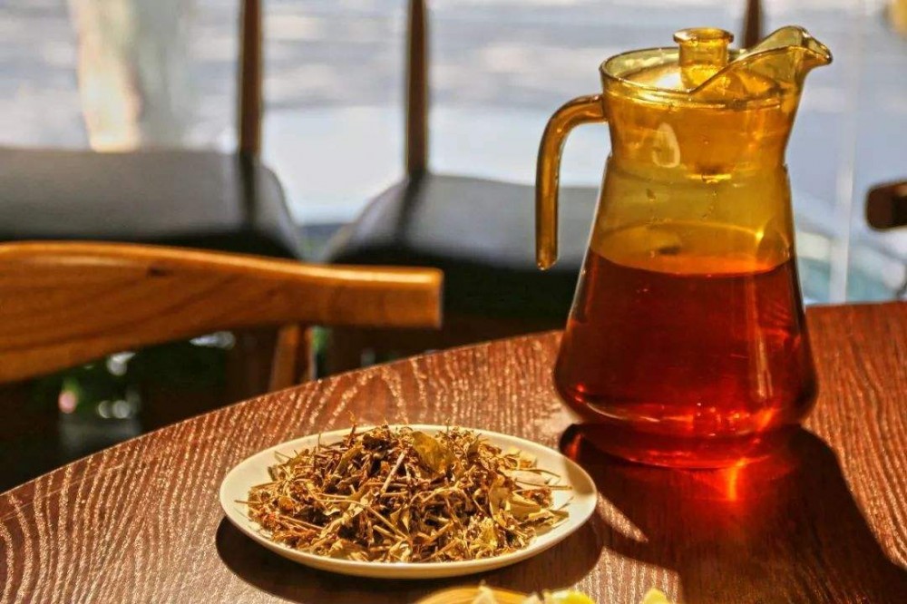 老鹰茶的功效与禁忌