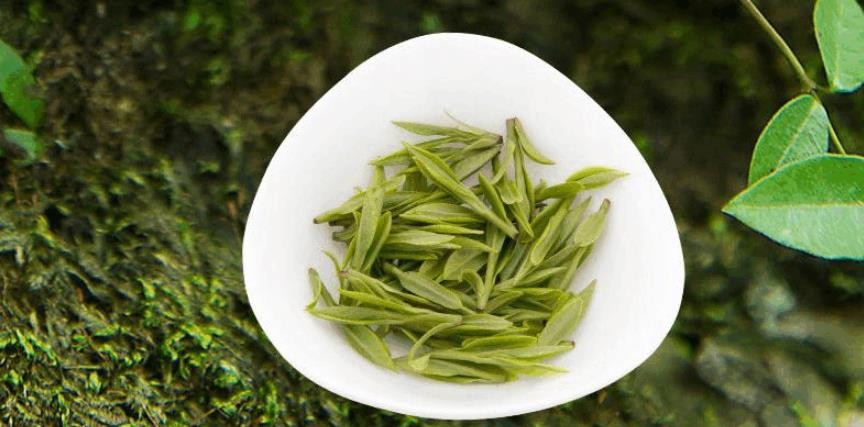 绿茶的功效与作用禁忌