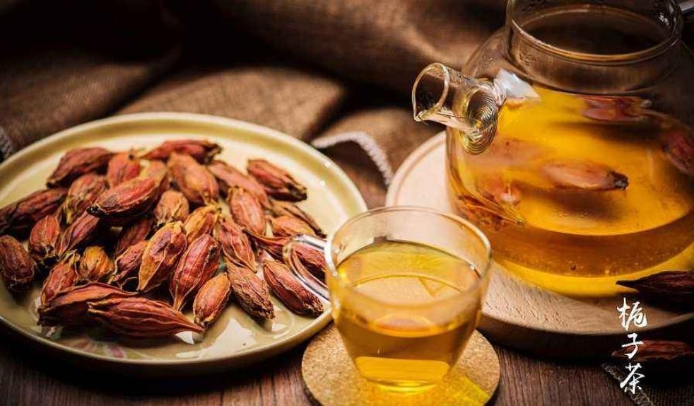 栀子茶的功效与作用