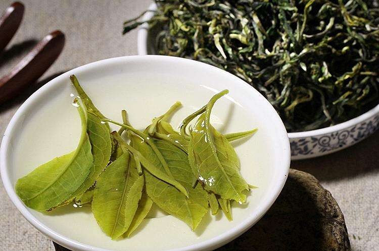 崂山绿茶的功效与作用禁忌