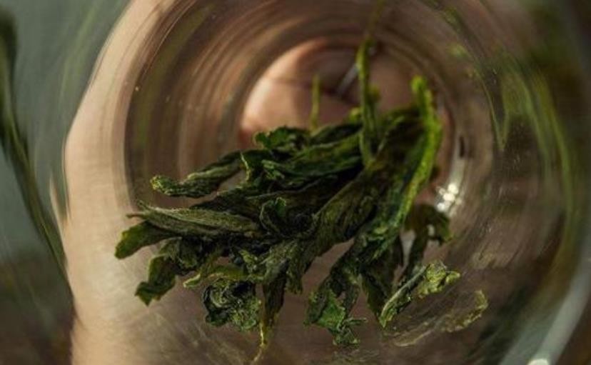 太平猴魁茶怎么泡好喝