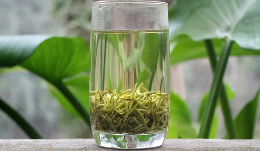 蒙顶甘露的特点及功效