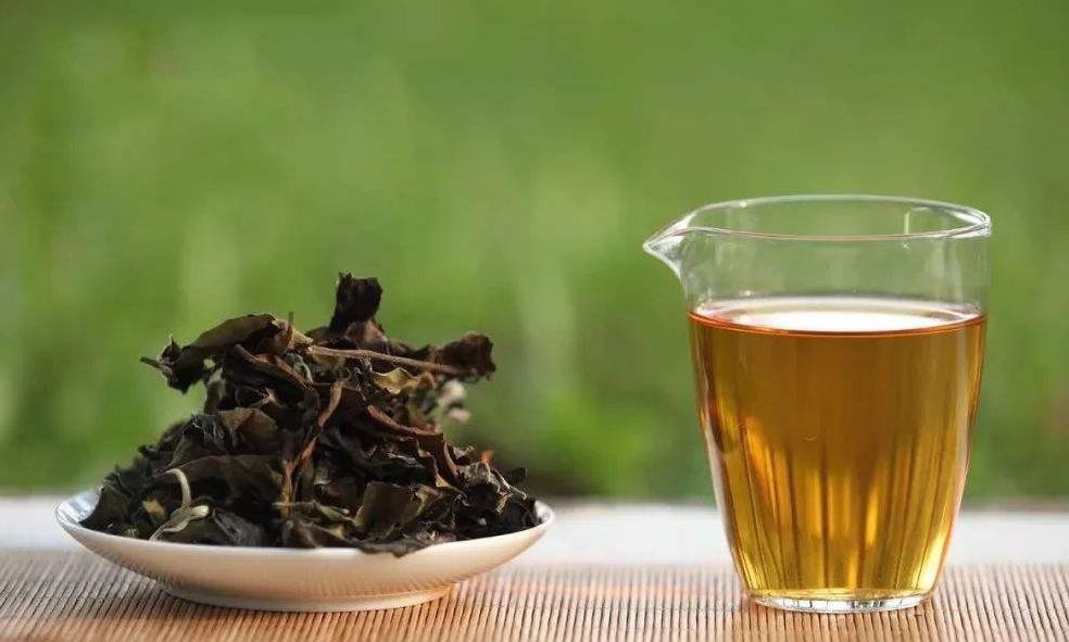 老树白茶的功效与禁忌