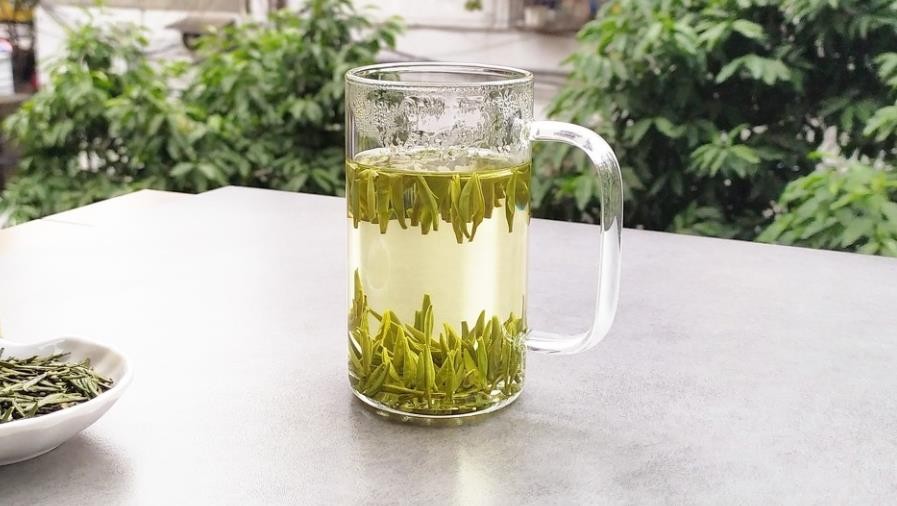 雀舌茶的功效与禁忌