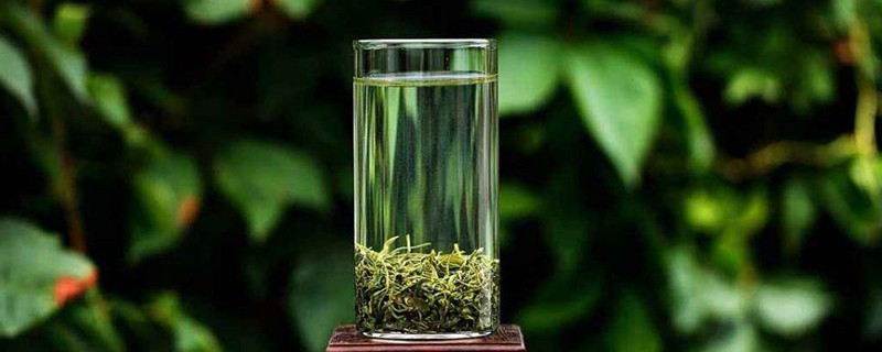 崂山茶叶有什么功效，崂山野生茶的作用与用途