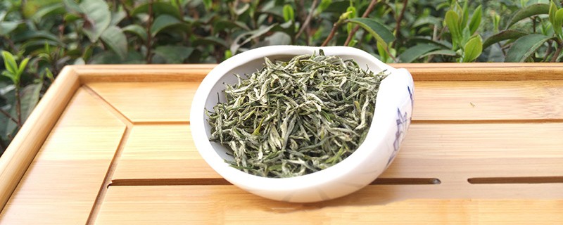 信阳毛尖的功效与禁忌，喝信阳毛尖的好处和坏处