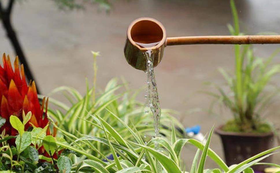 茶水发酵几天可以浇花