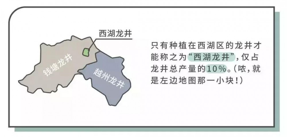 安吉白茶和龙井的区别