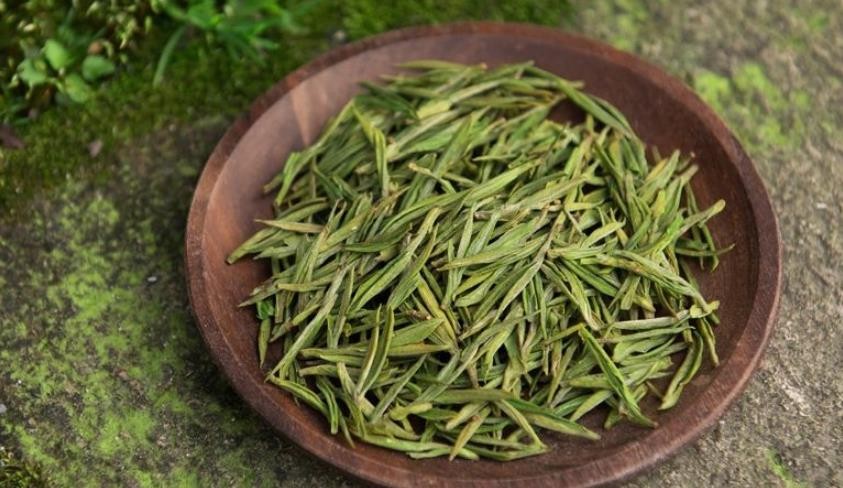安吉白茶和龙井的区别