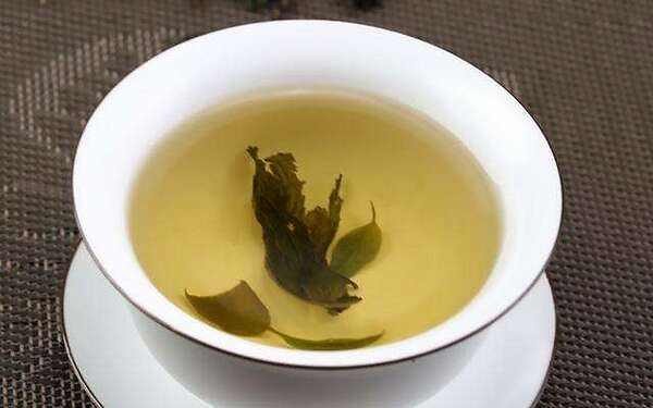 苦丁茶加蒲公英的功效与作用