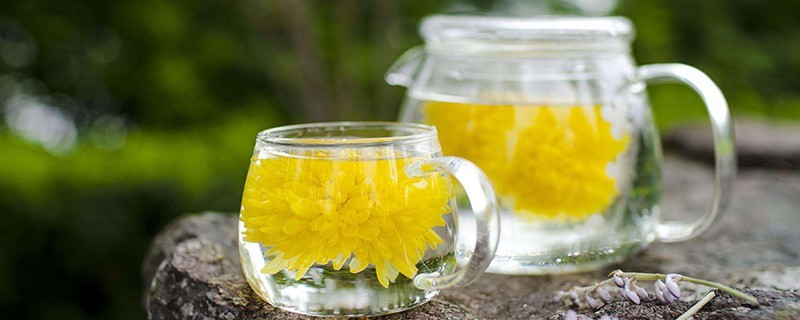 绿茶和菊花泡的禁忌，绿茶和菊花泡水喝可以吗