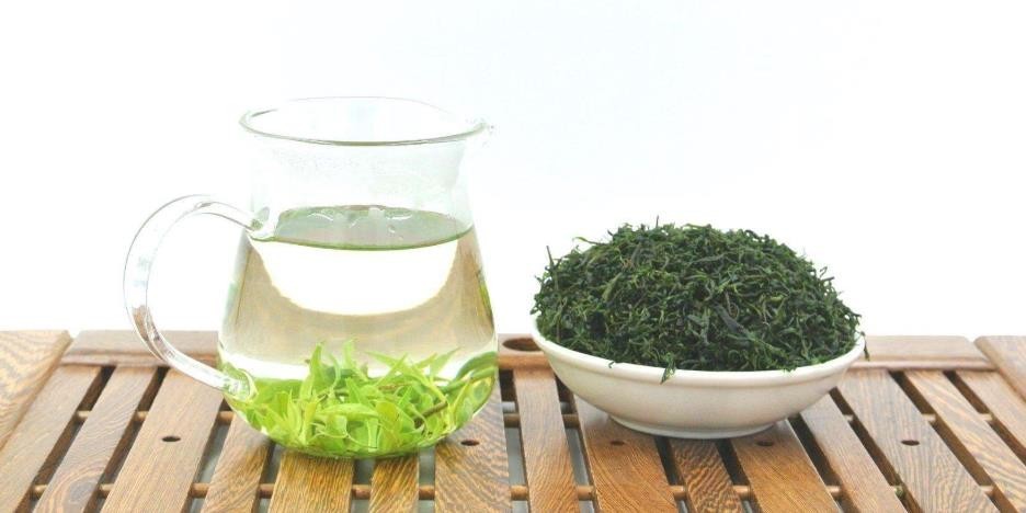 余庆小叶苦丁茶的功效与作用