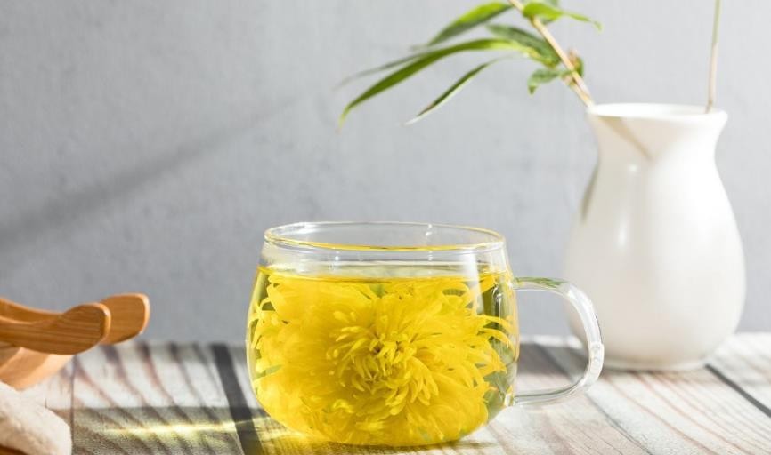 绿茶和菊花泡的禁忌