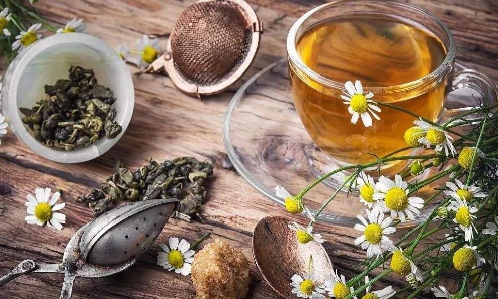 菊花蒲公英茶的功效与作用