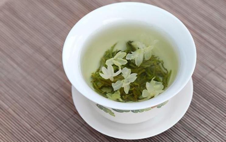 茉莉菊花茶功效与禁忌