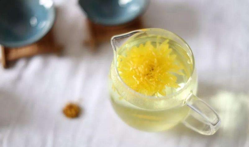 菊花蒲公英茶的功效与作用