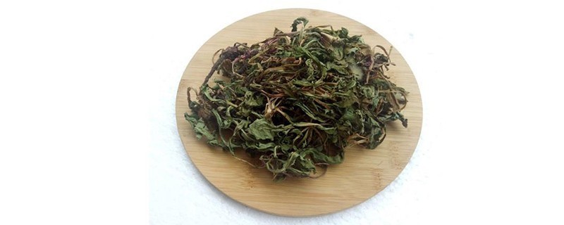 菊花蒲公英茶的功效与作用，菊花蒲公英泡茶喝有什么效果和作用