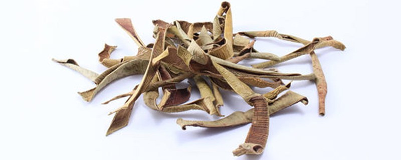 干芦荟茶的功效与禁忌，芦荟干泡水喝的功效